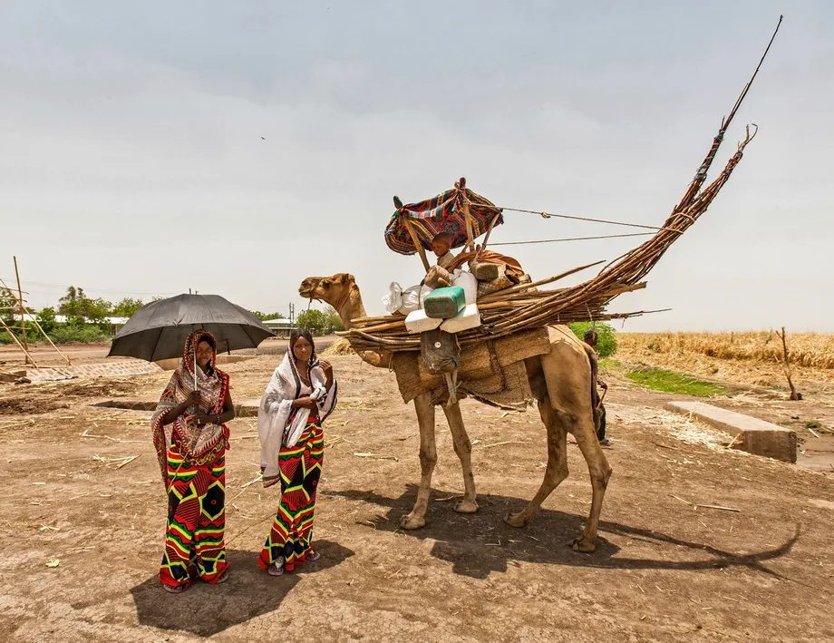 Two Afar women beside a camel carrying a family’s belongings and the frame of their house